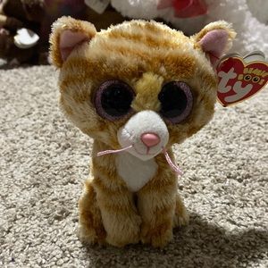 Cat beanie boo